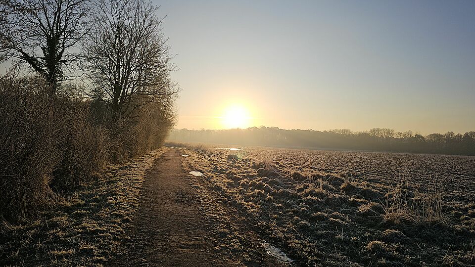 Nordmark Münster im Winter