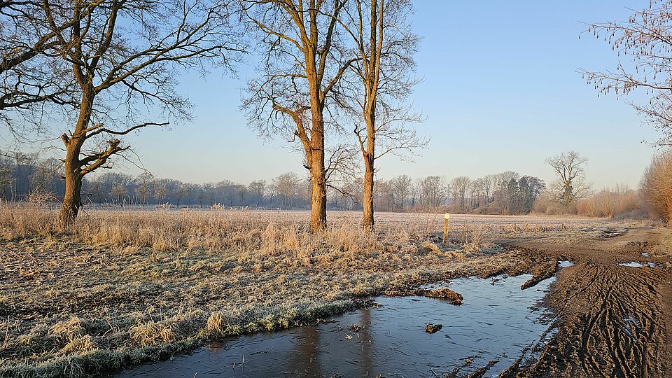 Nordmark Münster im Winter